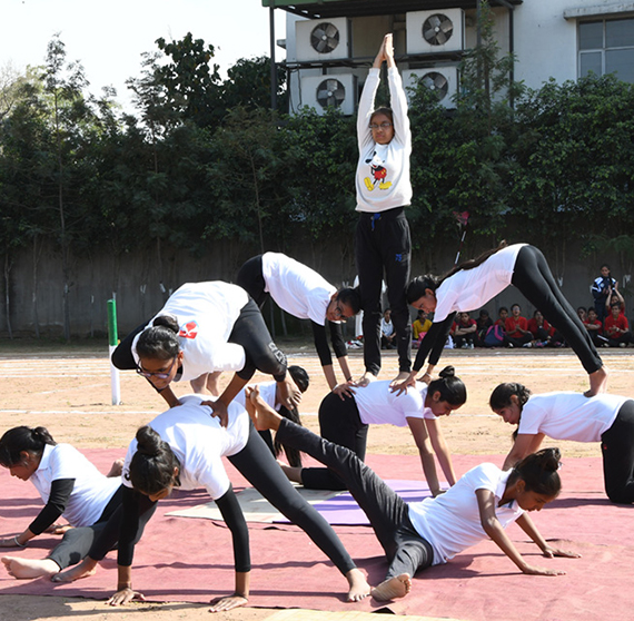 Sports & Recreation